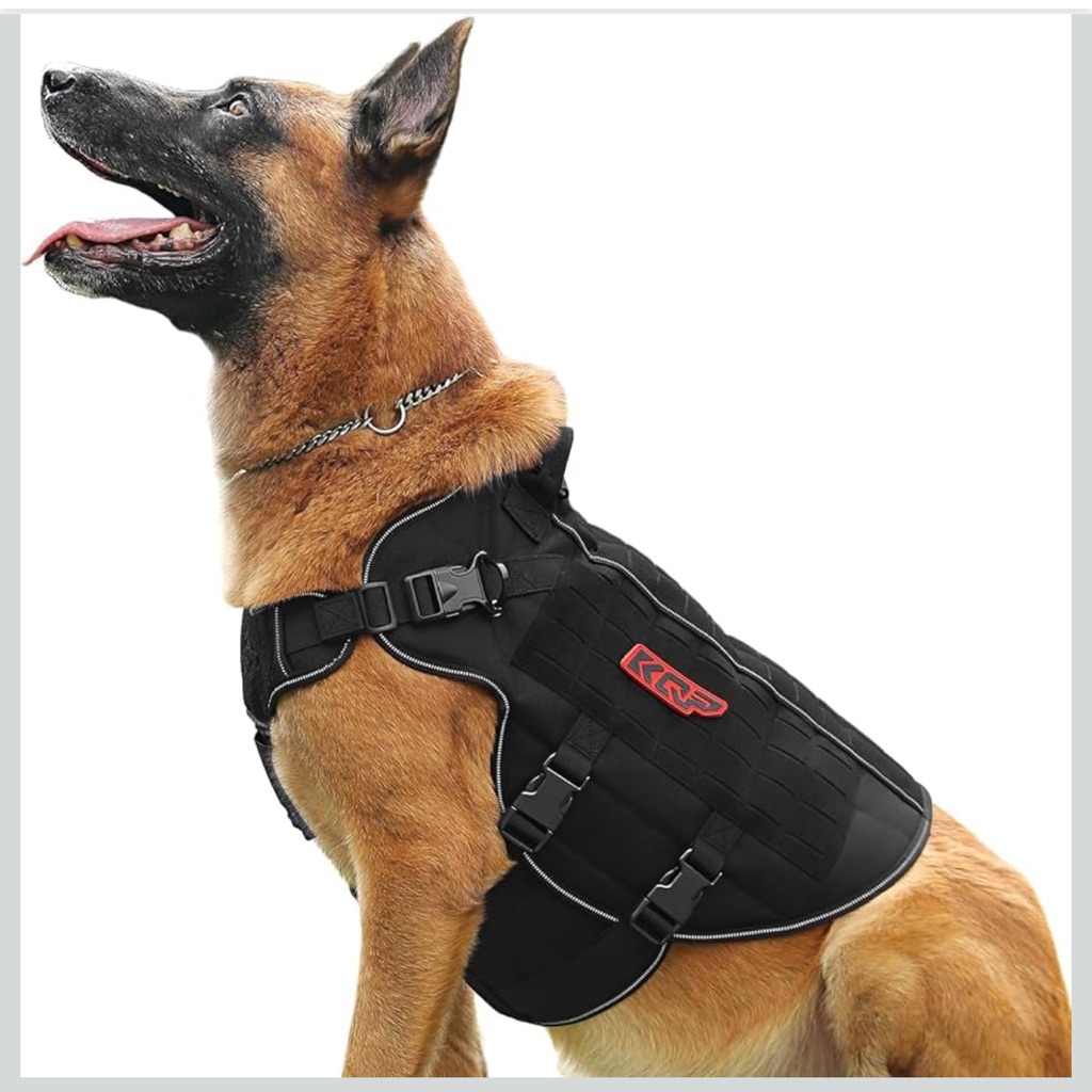 Dog Harness